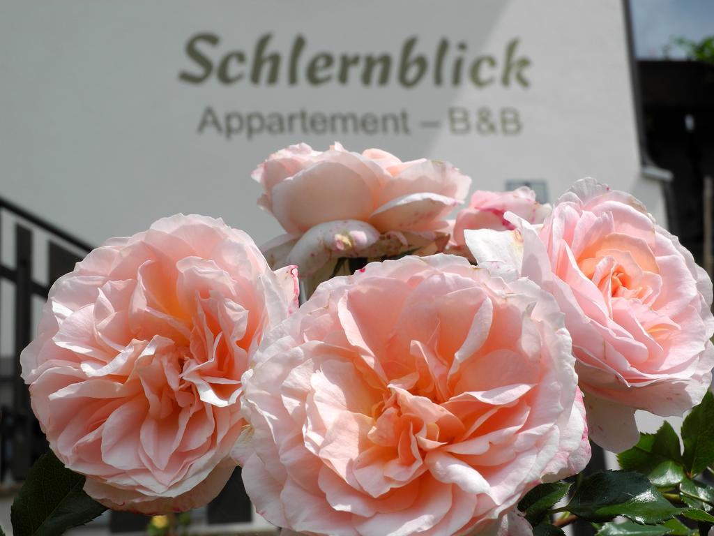 ノーヴァ・ポネンテHaus Schlernblickアパートメント エクステリア 写真